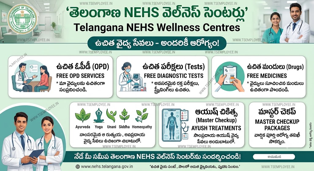Telangana NEHS Wellness Centres workflow diagram explaining free OPD services, diagnostic tests, AYUSH care, and chronic disease medicines distribution